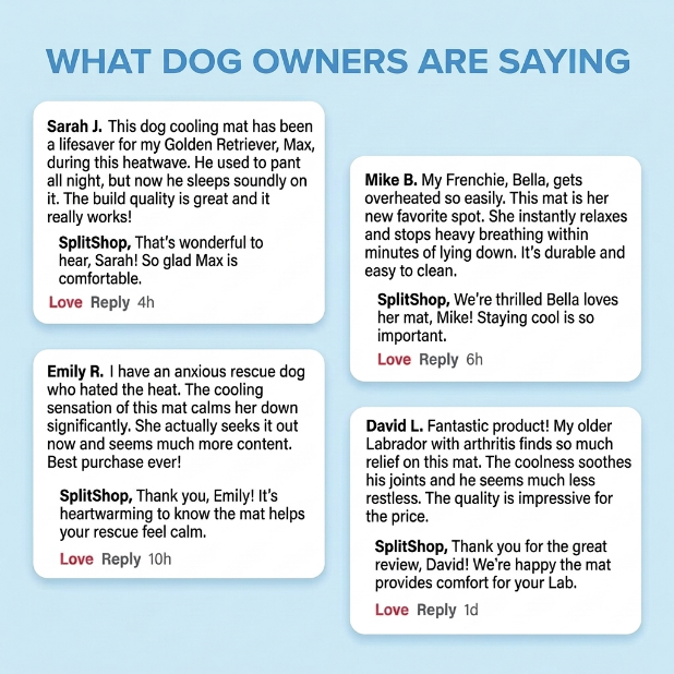 FrostPad™ – Self-Cooling Dog Mat 2.0